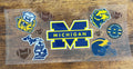 Michigan football